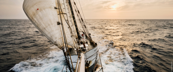 Plakate zum Download