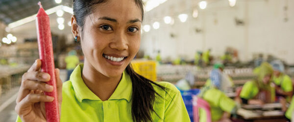 Aufsteller zum Download