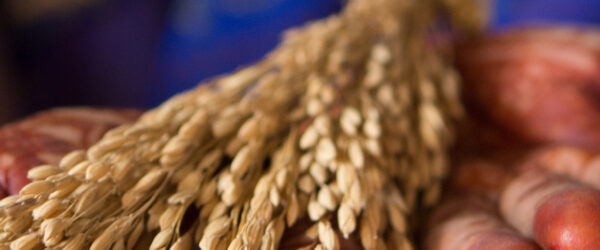 Plakate zum Download