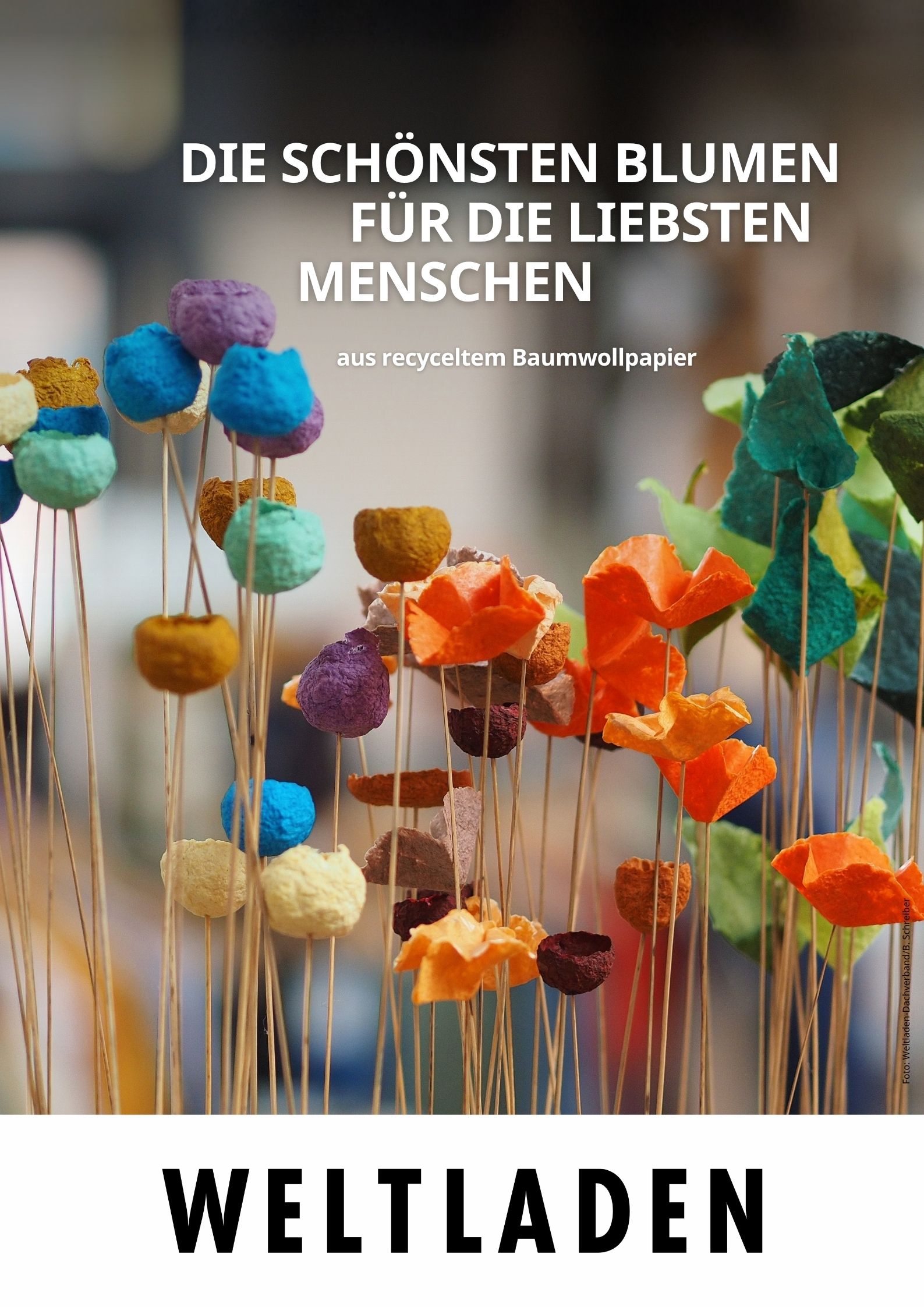 02_Tag der Floristik (2)