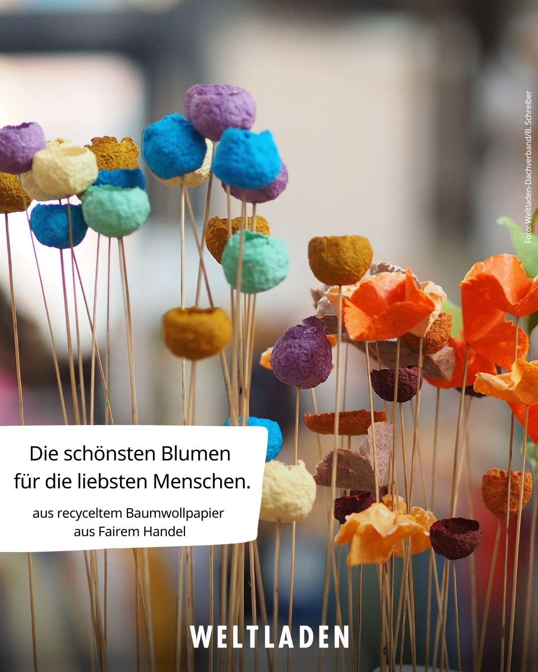 Tag der Floristik (2)