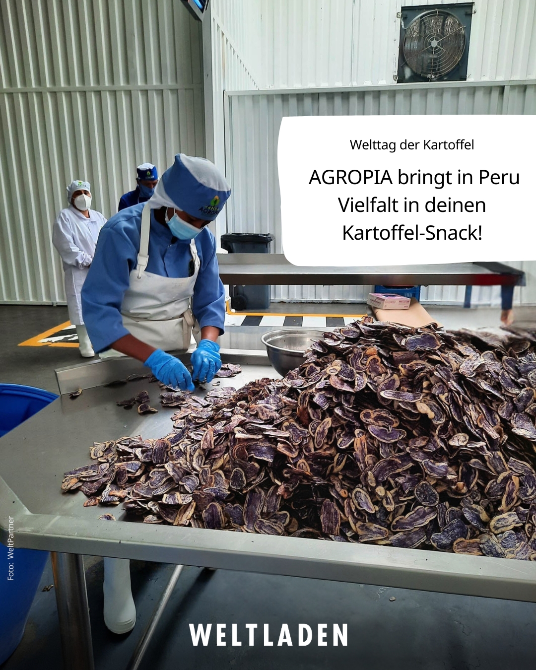 Sharepic WT Kartoffel 2