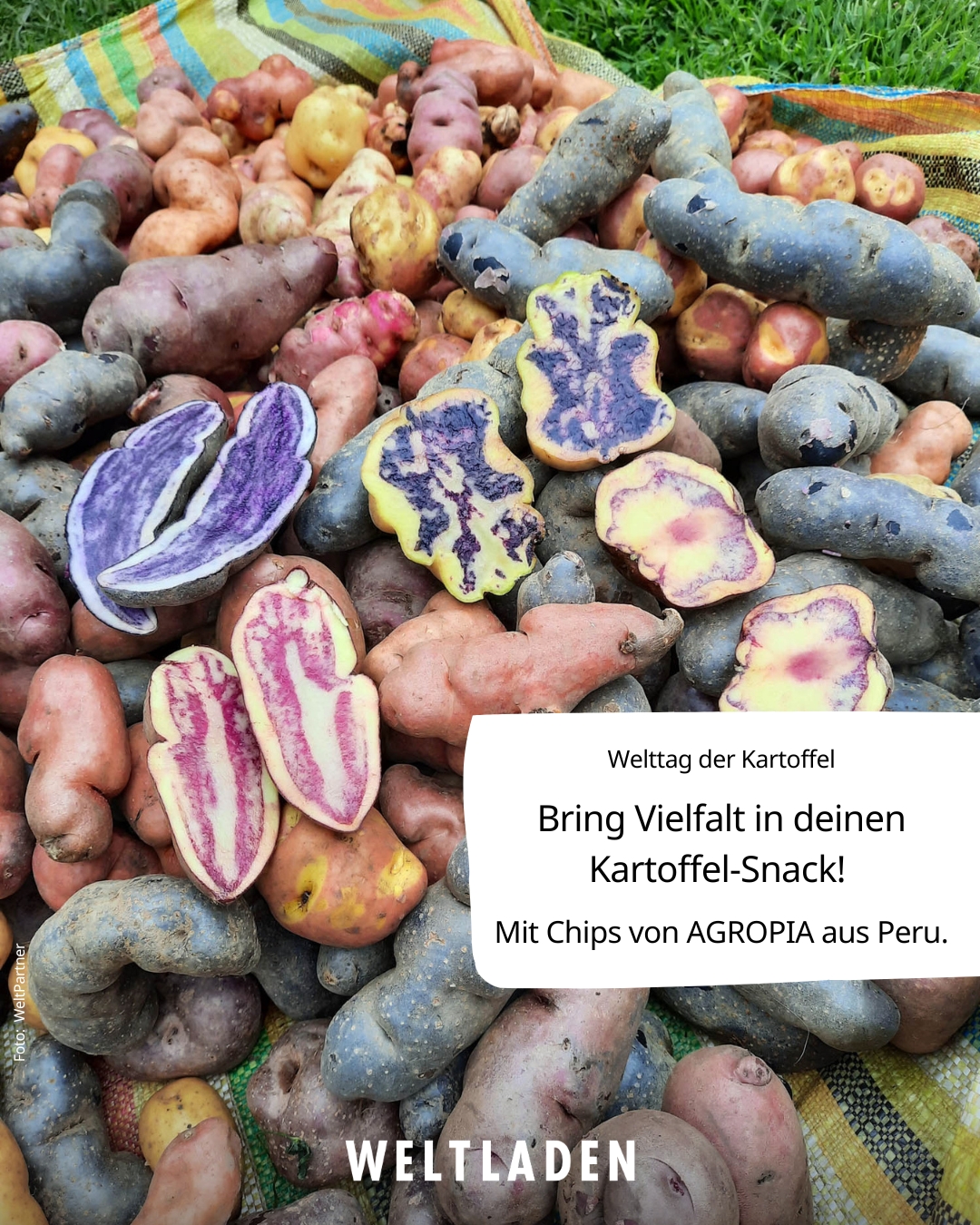 Sharepic WT Kartoffel 3