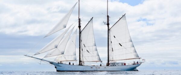 Aufsteller zum Download