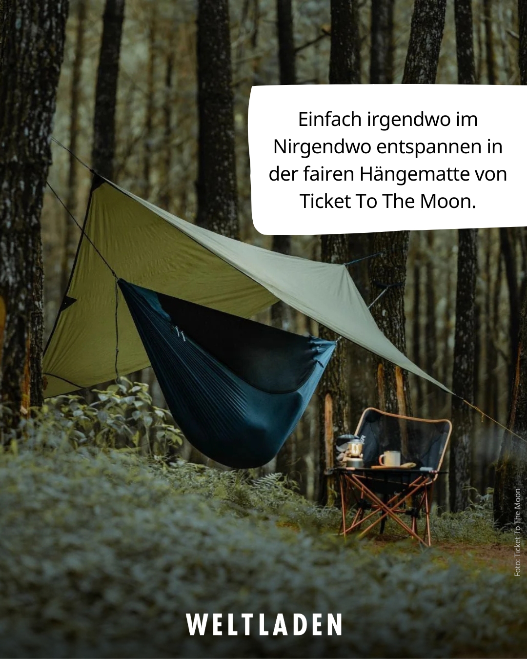 Ticket To The Moon im Wald