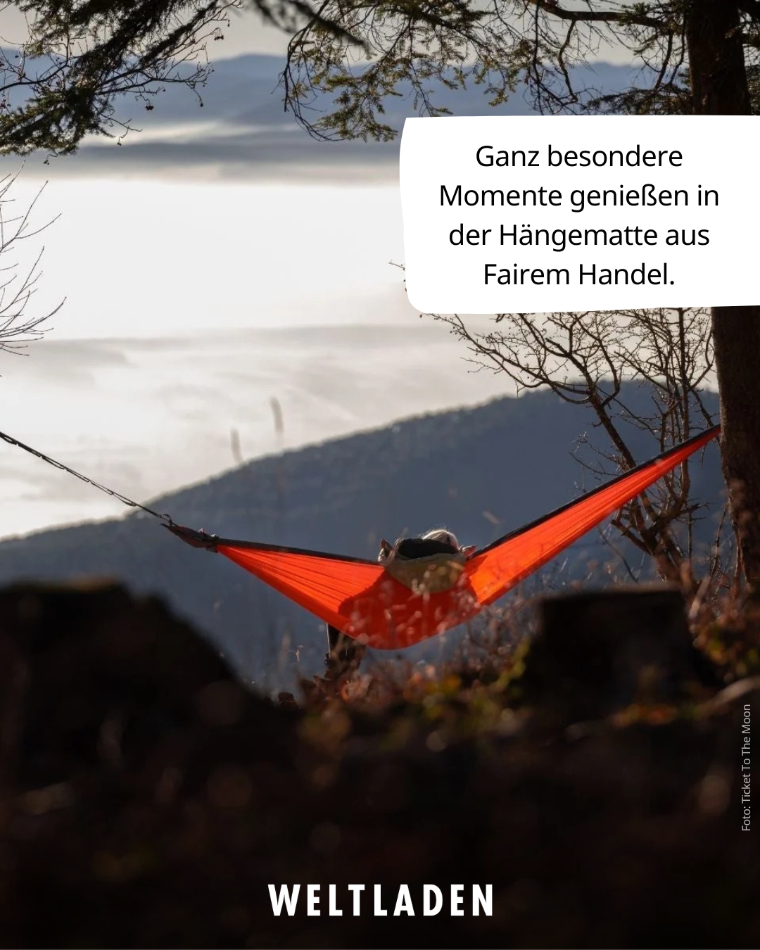 Hängematte Ausblick