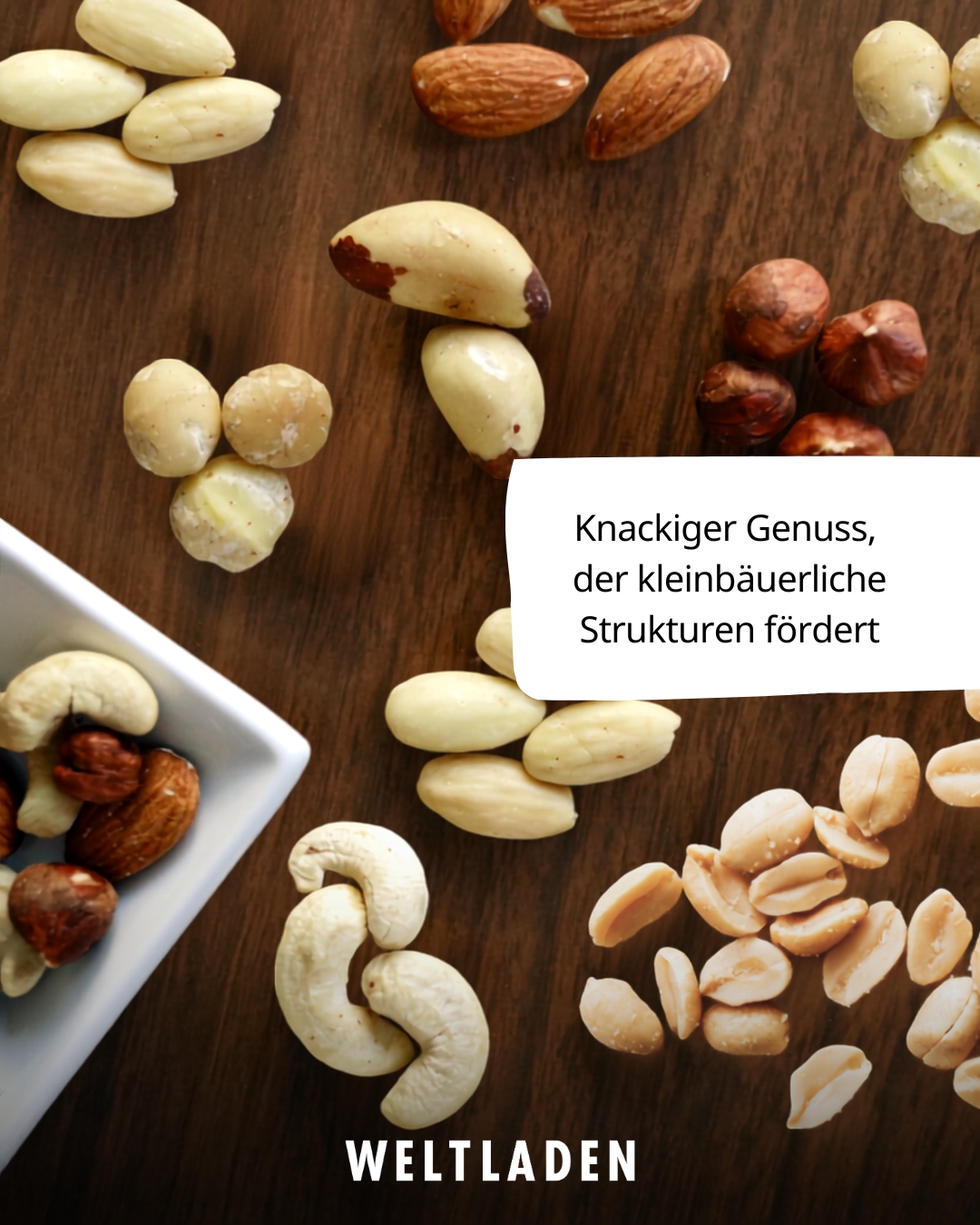 10_20 Tag der Nuss Vielfalt Nussangebot