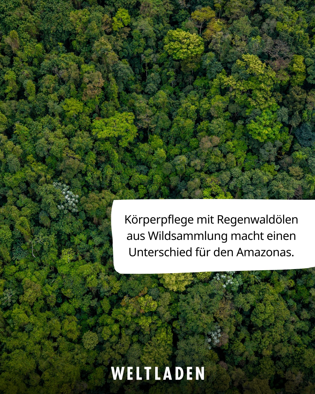 11_23 Tag der Naturkosmetik Regenwaldladen